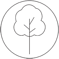 Tree icon