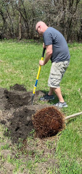 Employee Planting Trees