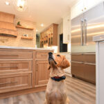 Dog looking around a kitchen with stained and painted cabinets