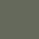 Rosemary paint
